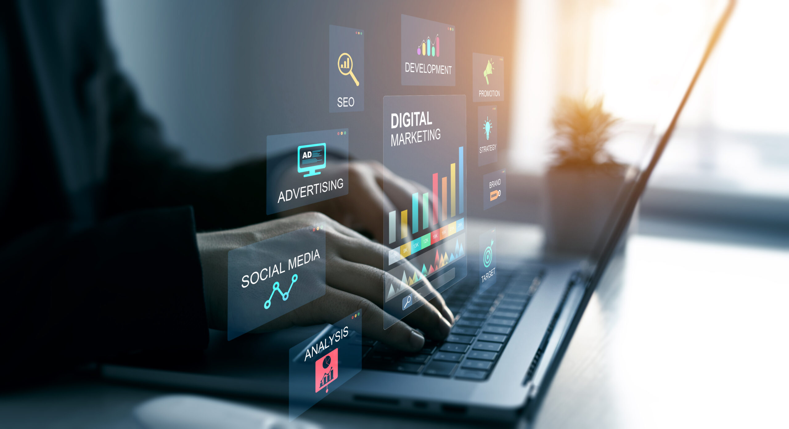 Digital advertising campaign strategy and performance.